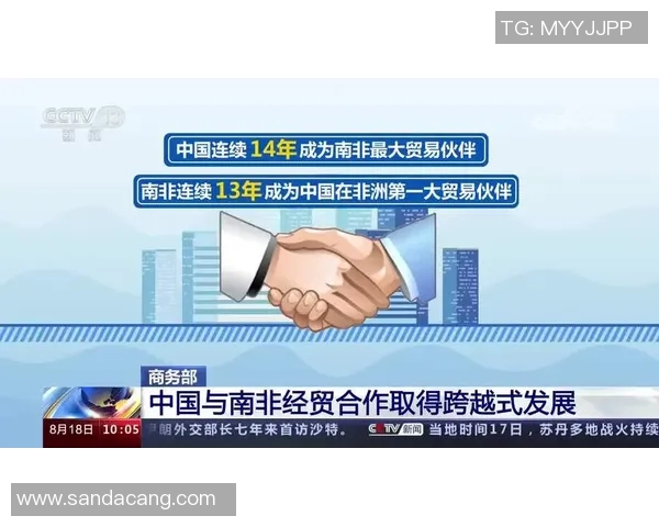 探索体育明星背后的团队构成与合作关系分析
