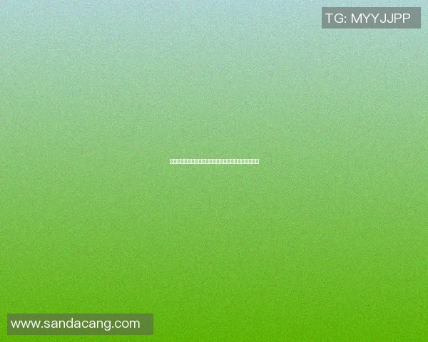 明星篮球战鞋图片展示与评测让你找到最适合的球场战靴